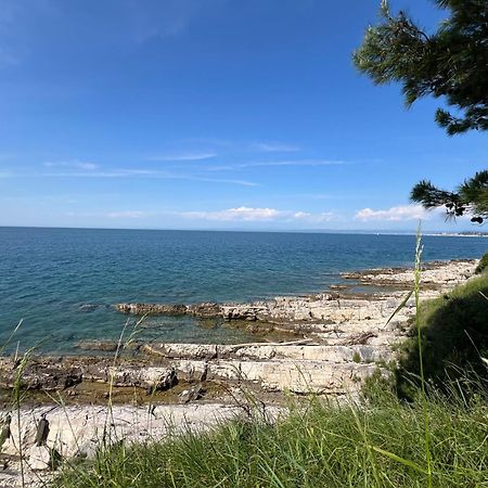 Villa Carneol Kaldanija Bagian luar foto